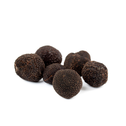 Black Truffle (Tuber Melanosporum)