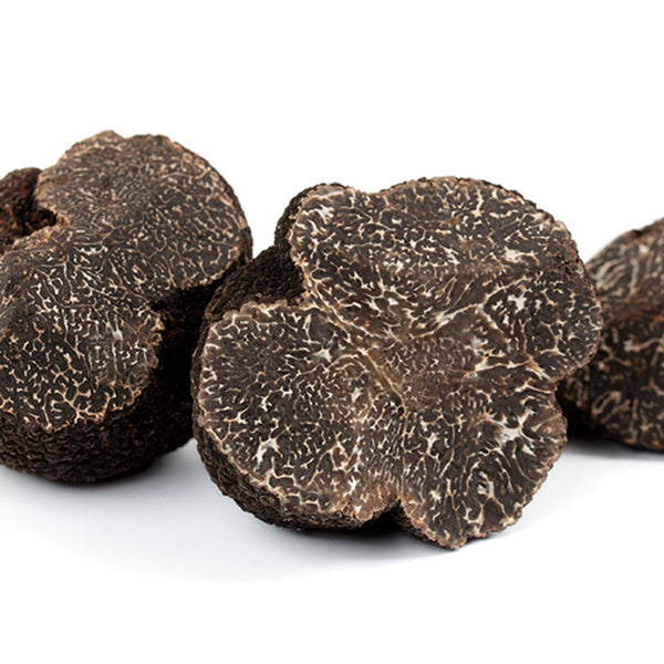 Black Truffle (Tuber Melanosporum)