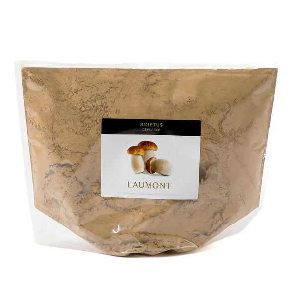 Porcini powder