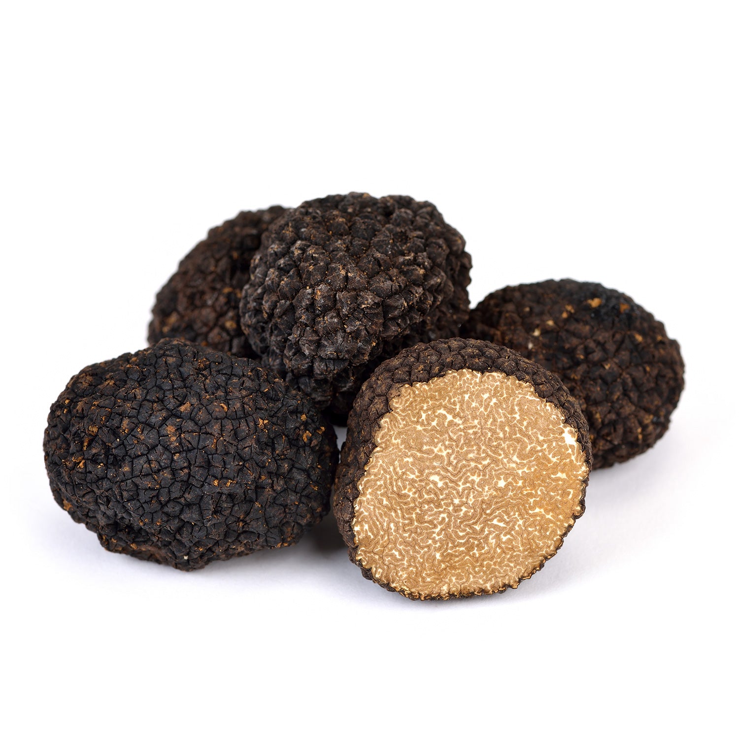 Autumn Truffle Uncinatum