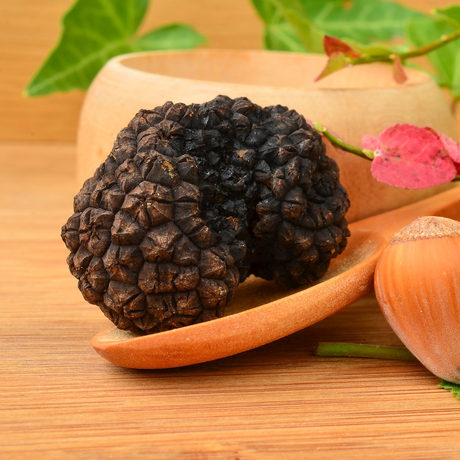 Autumn Truffle Uncinatum